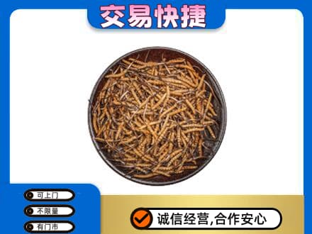 连云港礼品回收虫草.jpg